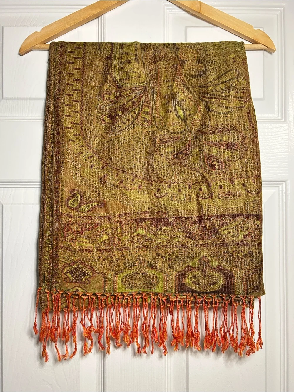 pashmina beautiful silk